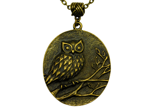 Halskette mit Eulenanhänger in Bronze